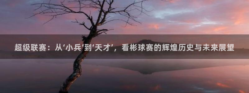 超级联赛：从‘小兵’到‘天才’，看彬球赛的辉煌历史与未来展望