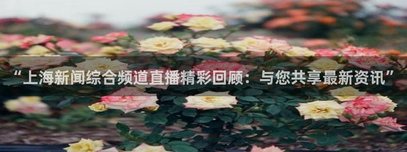 新闻图片