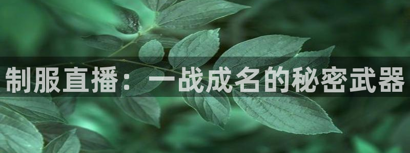 新闻图片