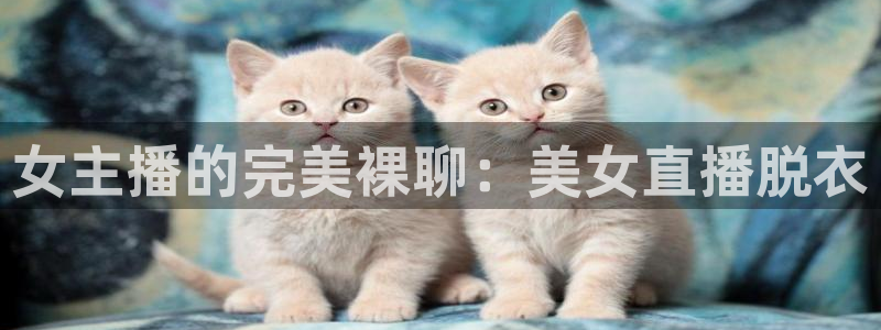 说球帝体育在线直播：女主播的完美裸聊：美女直播脱衣